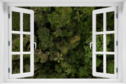 Fototapeta Naklejka Na Ścianę Okno 3D - Aerial top view of tropical forest tree canopy: nature background with a close up of the tree crowns