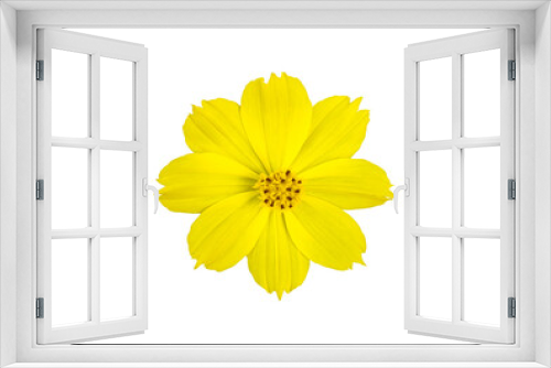 Fototapeta Naklejka Na Ścianę Okno 3D - Isolated yellow cosmos flower with clipping paths.