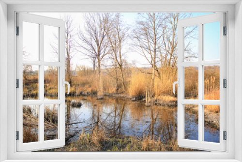 Fototapeta Naklejka Na Ścianę Okno 3D - Regensburg, Germany:  Autumn lake with dry reeds