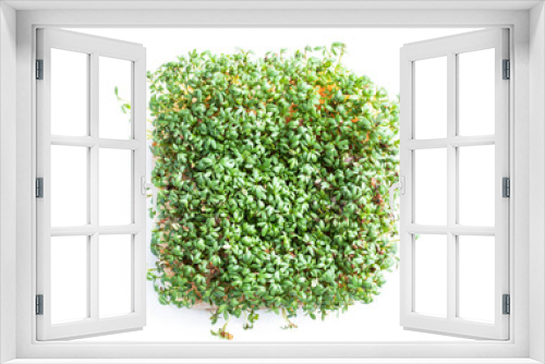 Fototapeta Naklejka Na Ścianę Okno 3D - Germinated cress salad plants isolated on white