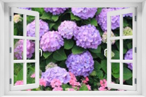 Fototapeta Naklejka Na Ścianę Okno 3D - Flower bloom 6