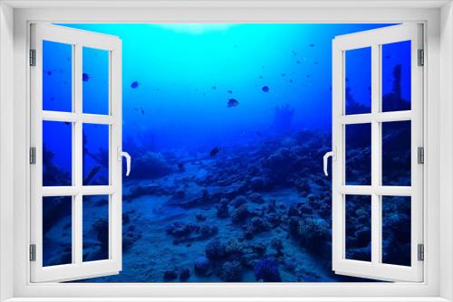 Fototapeta Naklejka Na Ścianę Okno 3D - wreck diving thistelgorm, underwater adventure historical diving, treasure hunt