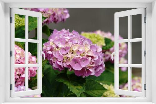 Fototapeta Naklejka Na Ścianę Okno 3D - Early summer flowers