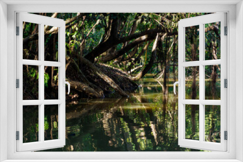 Fototapeta Naklejka Na Ścianę Okno 3D - Amazonia
