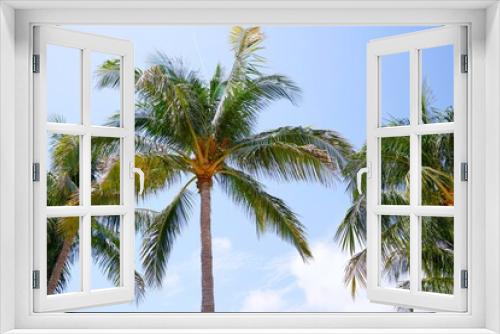 Fototapeta Naklejka Na Ścianę Okno 3D - Palm trees in south of Florida Miami Beach tall reaching into blue sky 