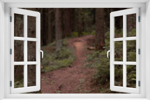 Fototapeta Naklejka Na Ścianę Okno 3D - footpath in a dark northern spruce forest with soft selective focus