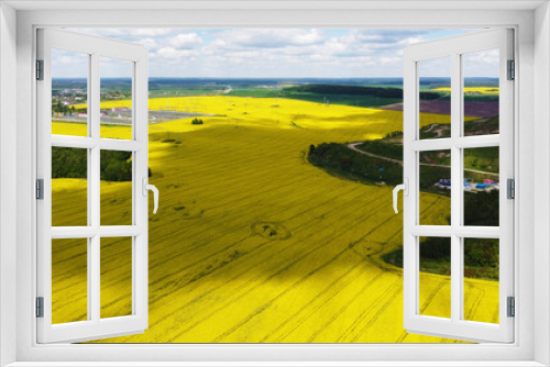 Fototapeta Naklejka Na Ścianę Okno 3D - Top view of the yellow rapeseed fields. Agro background for design and advertising of agricultural crops