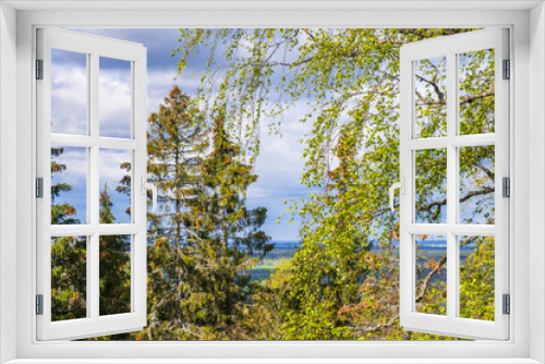 Fototapeta Naklejka Na Ścianę Okno 3D - Landscape view from a forest viewpoint
