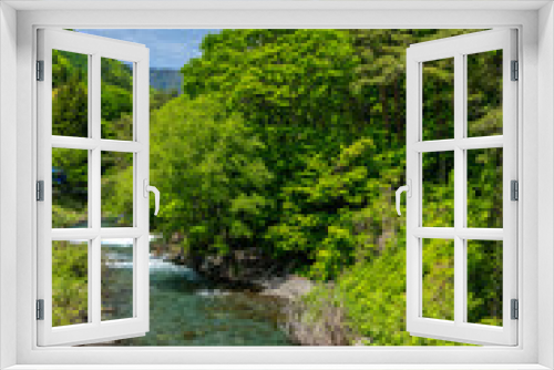 Fototapeta Naklejka Na Ścianę Okno 3D - 美しい新緑と渓流の風景