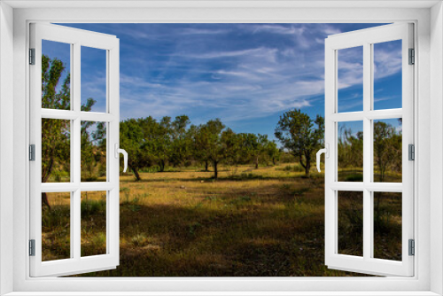 Fototapeta Naklejka Na Ścianę Okno 3D -  summer landscape of aragon spain on a warm sunny tree day