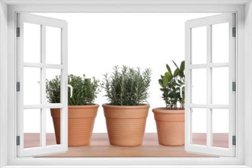 Fototapeta Naklejka Na Ścianę Okno 3D - Pots with thyme, bay and rosemary on wooden table against white background