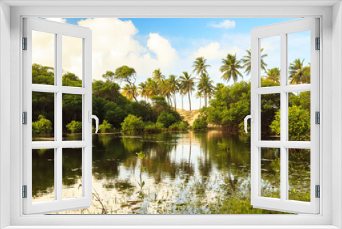 Fototapeta Naklejka Na Ścianę Okno 3D - tropical forest