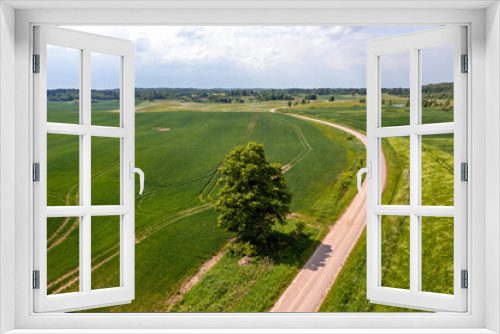 Fototapeta Naklejka Na Ścianę Okno 3D - rural landscape with agricultural fields, roads and lonely trees, drone photography