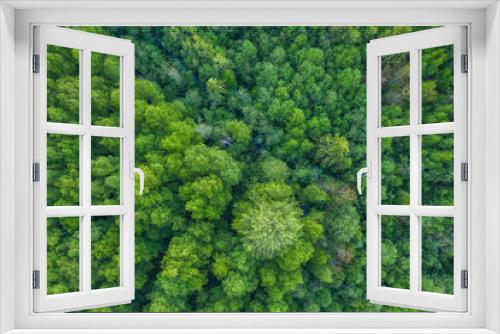 Fototapeta Naklejka Na Ścianę Okno 3D - Aerial forest view at summer time with good weather