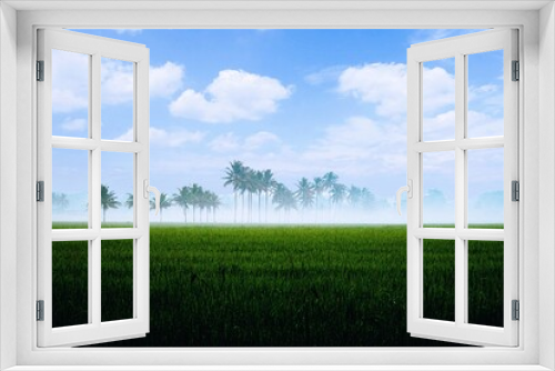 Fototapeta Naklejka Na Ścianę Okno 3D - The Atmosphere of Rice Fields, Palm Trees, and Blue Sky on a Cold Morning 