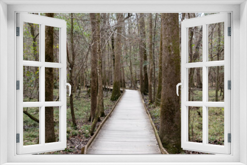 Fototapeta Naklejka Na Ścianę Okno 3D - A path through Congaree National Park located in South Carolina and preserves the largest tract of old growth bottomland hardwood forest left in the United States