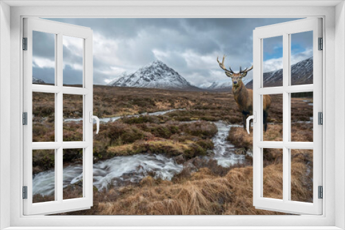 Fototapeta Naklejka Na Ścianę Okno 3D - Composite image of red deer stag in Majestic Winter landscape image of River Etive in foreground with iconic snowcapped Stob Dearg Buachaille Etive Mor mountain in the background