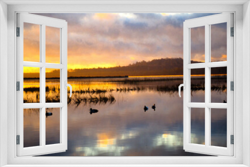 Fototapeta Naklejka Na Ścianę Okno 3D - Sunrise on a prime waterfowling destination 