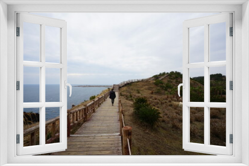Fototapeta Naklejka Na Ścianę Okno 3D - seaside cliff walkway and horse