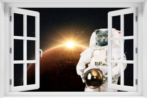 Fototapeta Naklejka Na Ścianę Okno 3D - Space cat astronaut in a space suit with a helmet on the background of the red planet Mars with rays of sunlight. Funny cat spaceman. Creative idea and pet