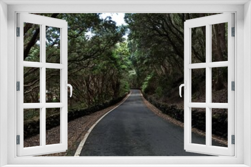 Fototapeta Naklejka Na Ścianę Okno 3D - Views from Terceira Island towards the ocean through and through the vegetation