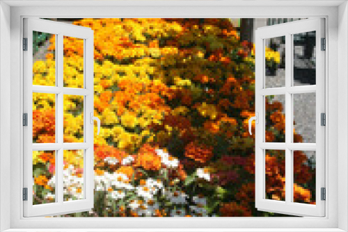 Fototapeta Naklejka Na Ścianę Okno 3D - autumn in the garden