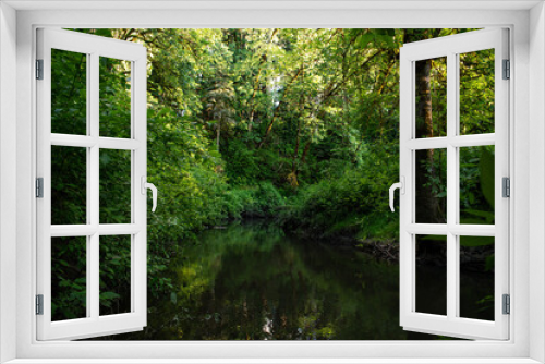 Fototapeta Naklejka Na Ścianę Okno 3D - Forest/River
