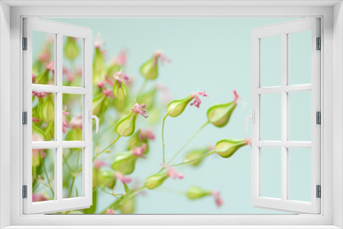 Fototapeta Naklejka Na Ścianę Okno 3D - Close up image of dry flowers. Minimalist flower background.