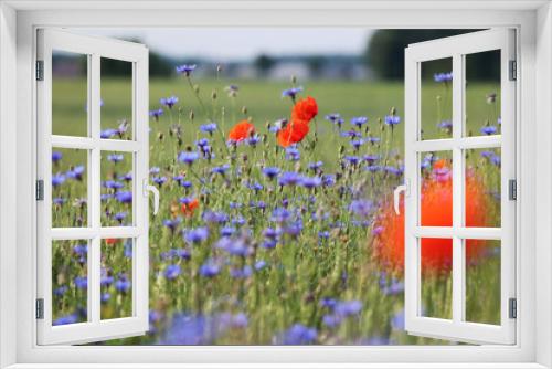 Fototapeta Naklejka Na Ścianę Okno 3D - Piękna zielona łąka z kwiatami chabrami i makami oraz ziołami w trawie. 