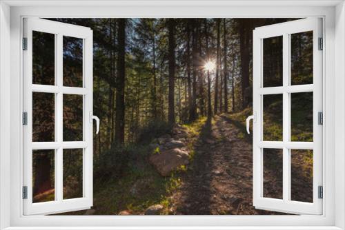 Fototapeta Naklejka Na Ścianę Okno 3D - Pathway in a majestic green fir forest with beautiful rays of sunlight, Vallelunga, Alto Adige, Italy