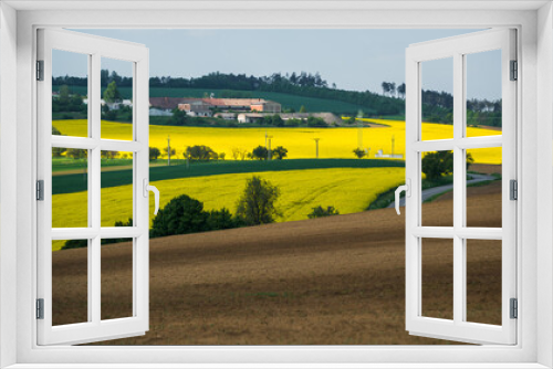 Fototapeta Naklejka Na Ścianę Okno 3D - South Moravia Landscape on a beautiful day