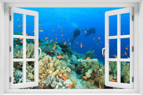 Fototapeta Naklejka Na Ścianę Okno 3D - Two Scuba Divers diving on coral reef