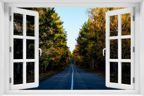 Fototapeta Naklejka Na Ścianę Okno 3D - Autumn country road through colorful trees. Rustic, vintage, ambient. The road in the forest. An asphalt long country road with white lines in the center, stretching far beyond the horizon.
