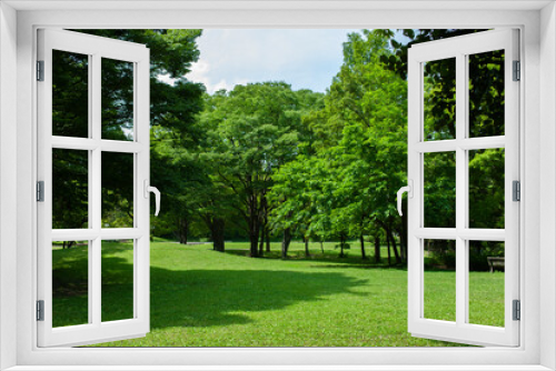 Fototapeta Naklejka Na Ścianę Okno 3D - Green Garden