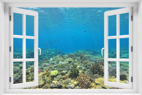Fototapeta Naklejka Na Ścianę Okno 3D - 沖縄離島　サンゴ礁