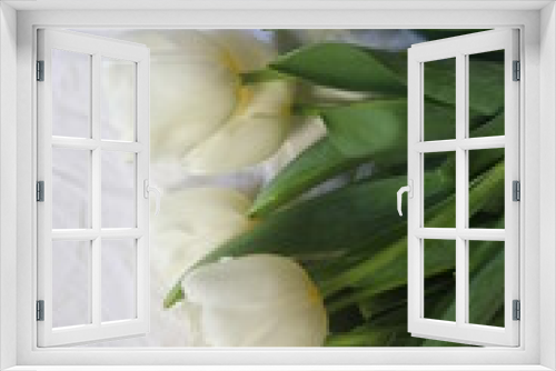 Fototapeta Naklejka Na Ścianę Okno 3D - WHITE TULIPS. Beautiful white tulips lie on a white bedspread
