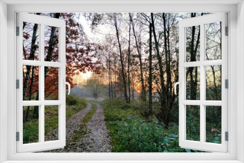 Fototapeta Naklejka Na Ścianę Okno 3D - Autumn landscape of a forest path. Birch trees and colorful leaves. Sunset in the background.
