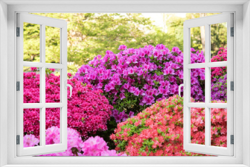 Fototapeta Naklejka Na Ścianę Okno 3D - 色とりどりのツツジが満開の日本庭園