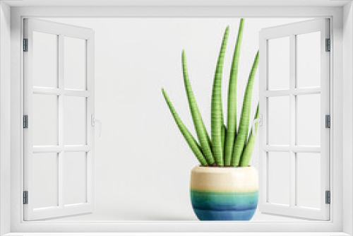 Fototapeta Naklejka Na Ścianę Okno 3D - 3d illustration of houseplant potted isolated on white background