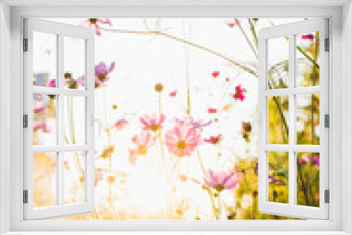 Fototapeta Naklejka Na Ścianę Okno 3D - Wildflowers at sunset