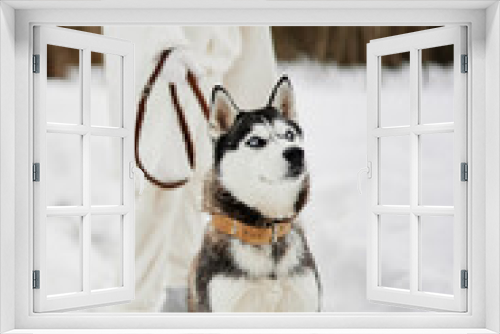 Fototapeta Naklejka Na Ścianę Okno 3D - woman with a purebred dog outdoor games snow fun travel fresh air
