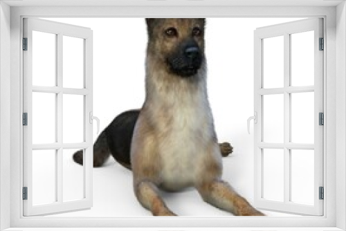 Fototapeta Naklejka Na Ścianę Okno 3D - 3d-illustration of an isolated german attentive shepherd dog