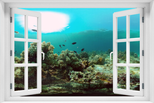 Fototapeta Naklejka Na Ścianę Okno 3D - Tropical coral reef and fishes underwater. Tropical fishes and coral reef underwater. Travel vacation concept. Philippines. Virtual Reality 360.