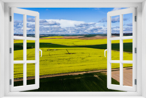 Fototapeta Naklejka Na Ścianę Okno 3D - Campos de COLZA Y CEREAL