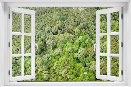 Fototapeta Naklejka Na Ścianę Okno 3D - Framura Liguria Italy, drone view of dense mountain forest with maritime pines in unspoiled nature green woods typical of the Mediterranean and fire risk with terrestrial overheating global warming 