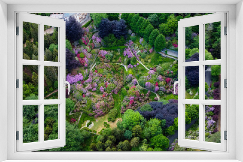Fototapeta Naklejka Na Ścianę Okno 3D - Aerial view of colorful blooming rhododendron shrubs among the trees in the Oasi Zegna, natural area and tourist attraction in the Province of Biella, Piedmont, Italy.