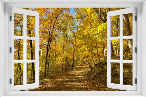 Fototapeta Naklejka Na Ścianę Okno 3D - Yellow Autumn Tree Landscape With Path