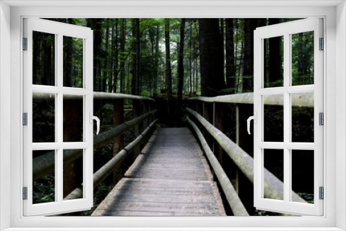 Fototapeta Naklejka Na Ścianę Okno 3D - wooden bridge in the forest at blausee bern Switzerland 