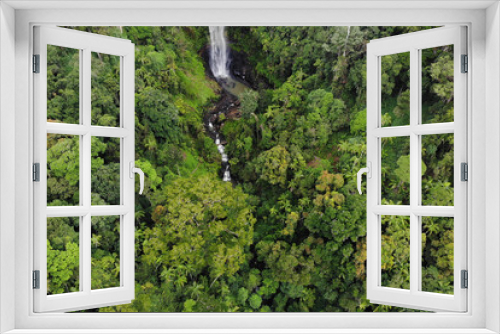Fototapeta Naklejka Na Ścianę Okno 3D - Lush and healthy rainforest from aerial view on the side of a cliff face in Springbrook National Park, QLD. 