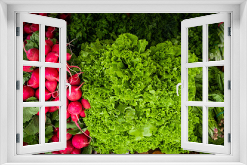 Fototapeta Naklejka Na Ścianę Okno 3D - Fresh organic homegrown herbs and leaf vegetables background